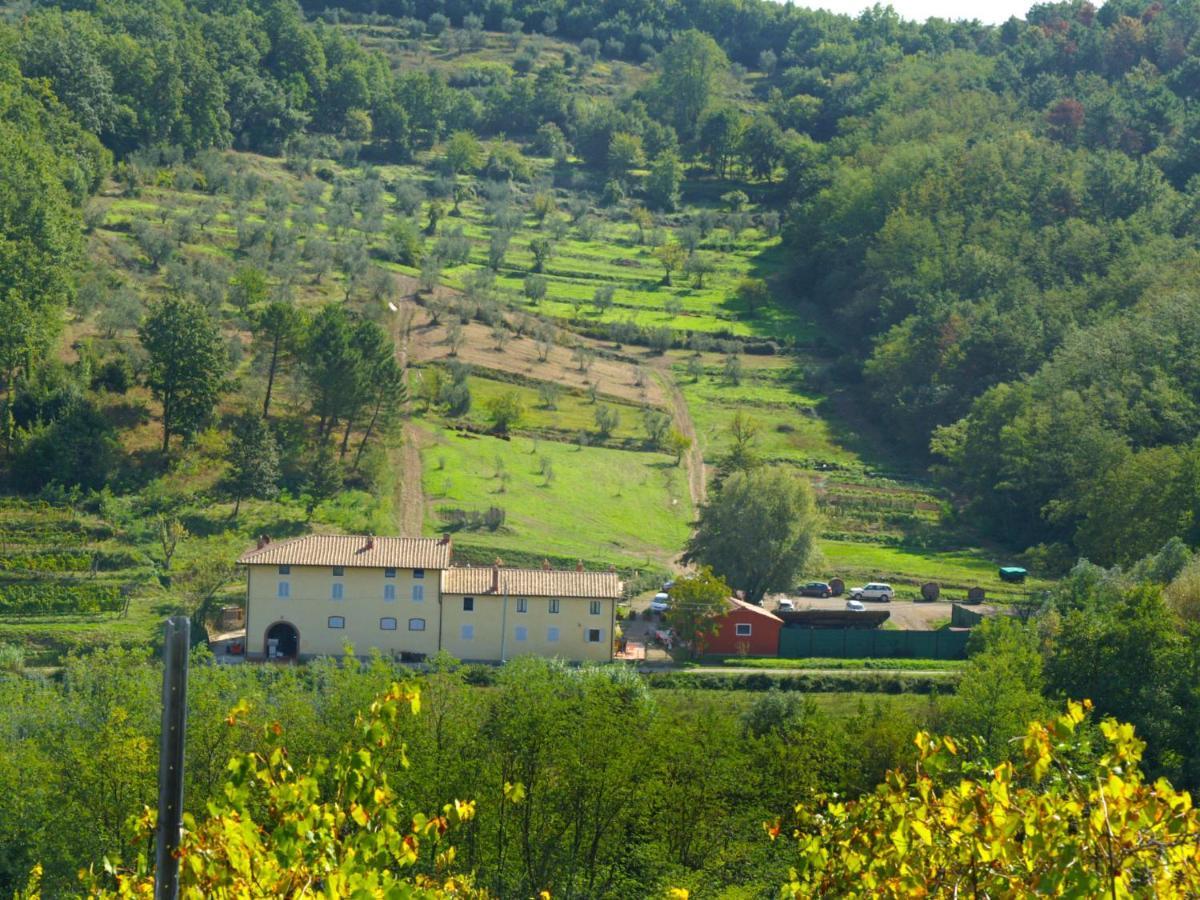 Apartment Aurora By Interhome Serravalle Pistoiese Bagian luar foto